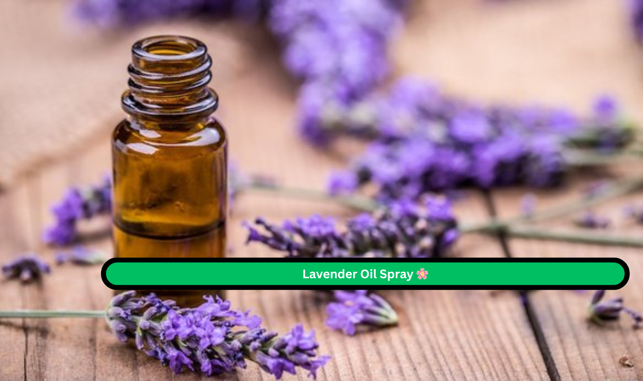 2 Lavender Oil Spray 🌸