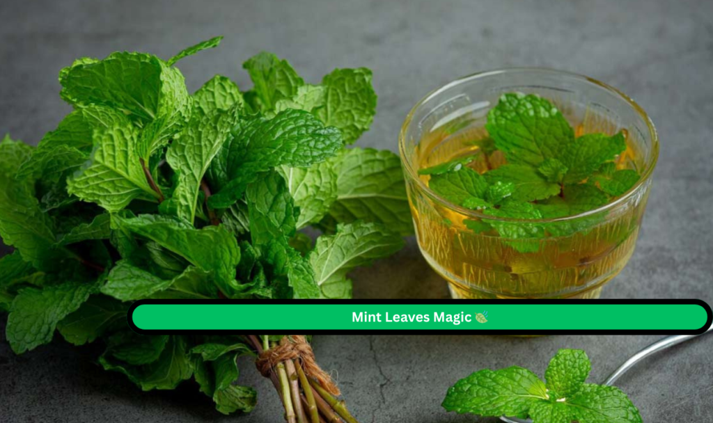 Mint Leaves Magic